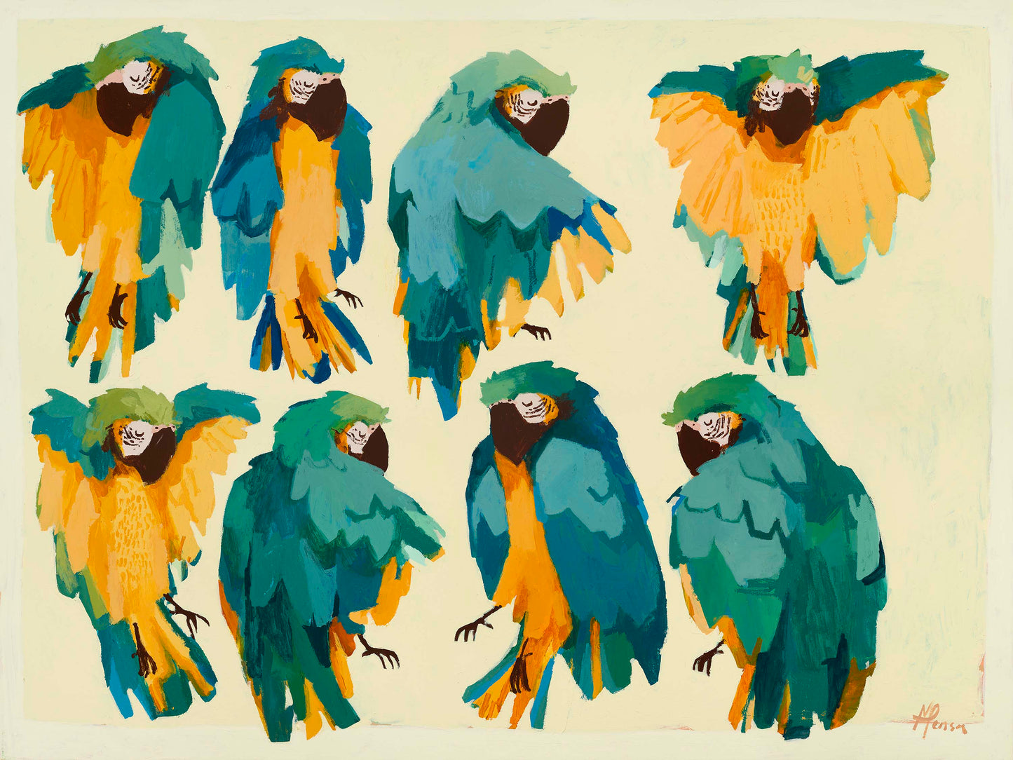 "Ararauna Macaws" various sizes