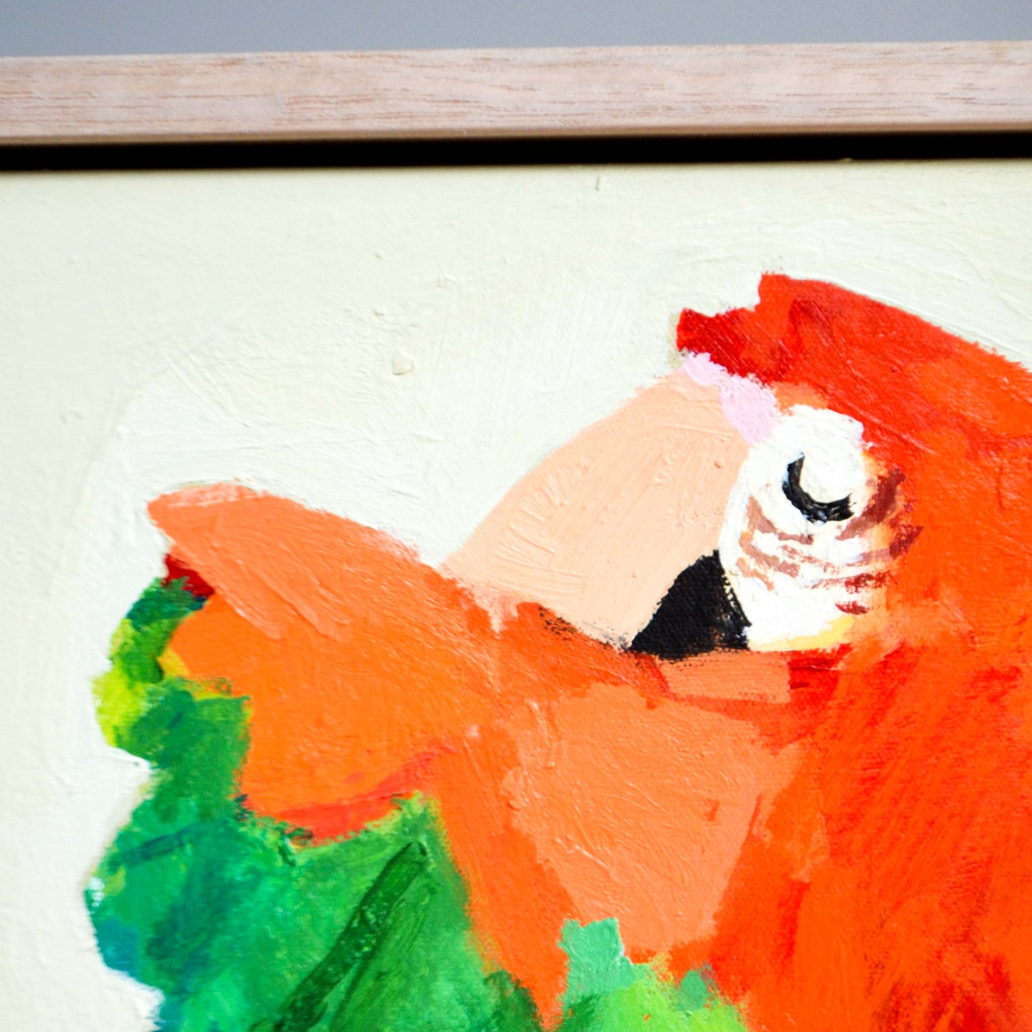 “Aracanga Macaw” II