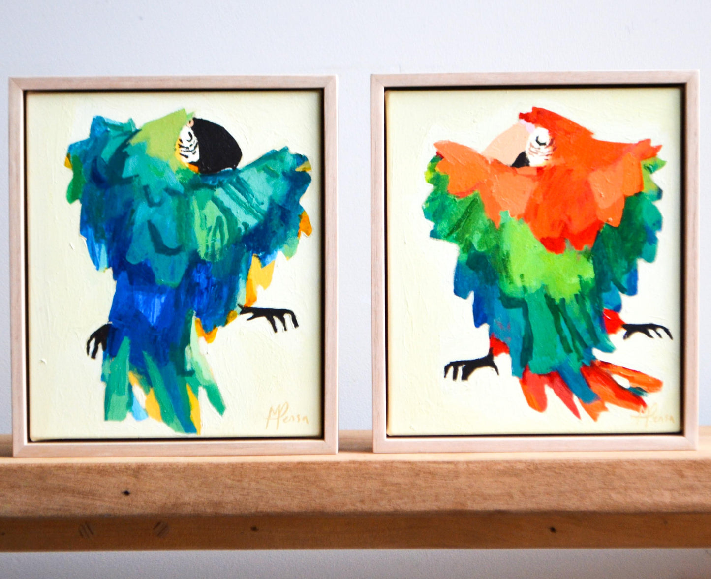 “Aracanga Macaw” II