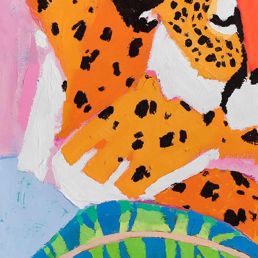'calathea cheetahs’