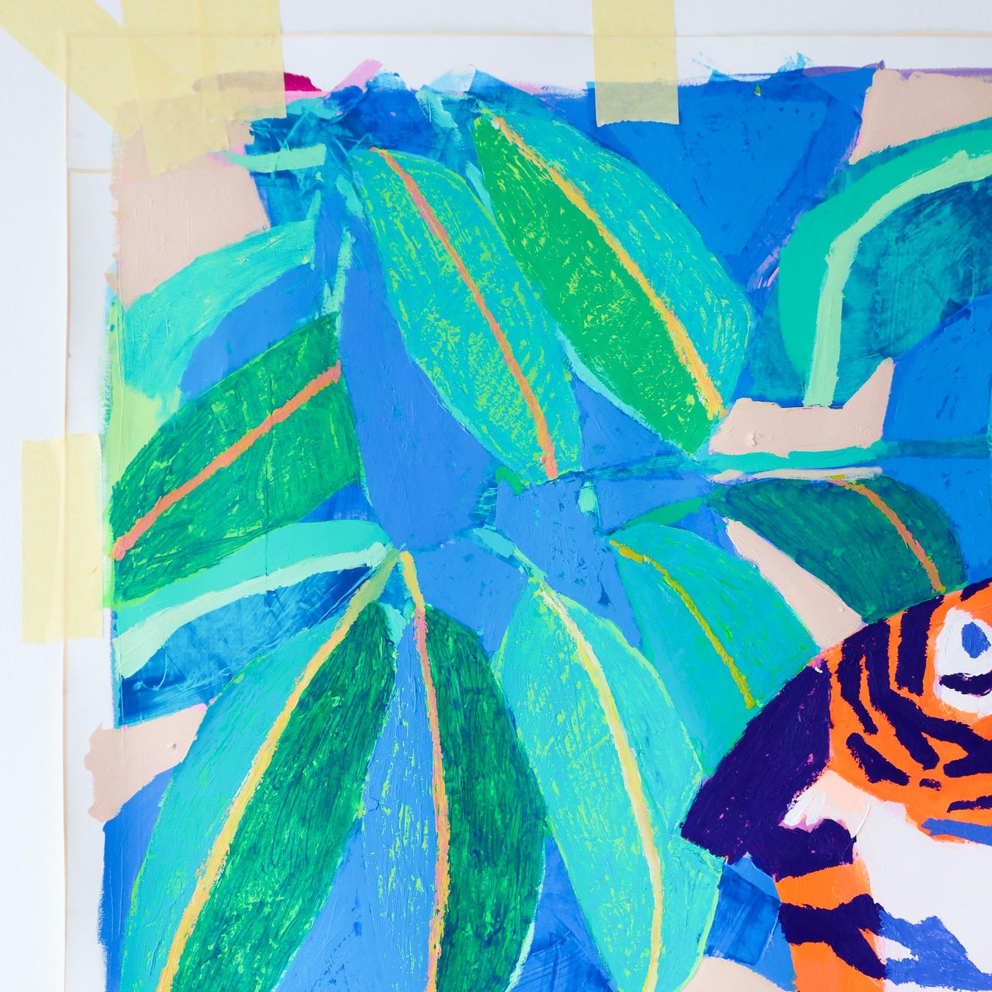 'mangroves tiger duo'