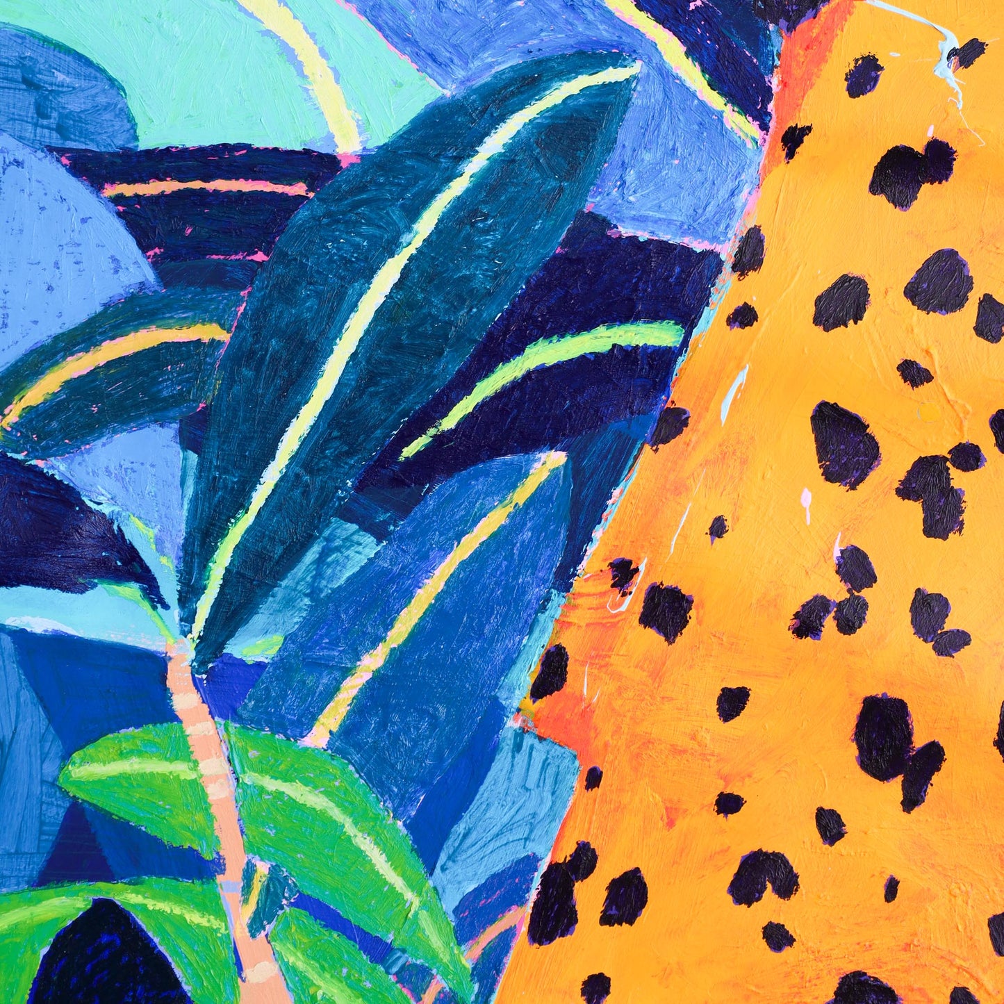 'phthalo cheetahs'