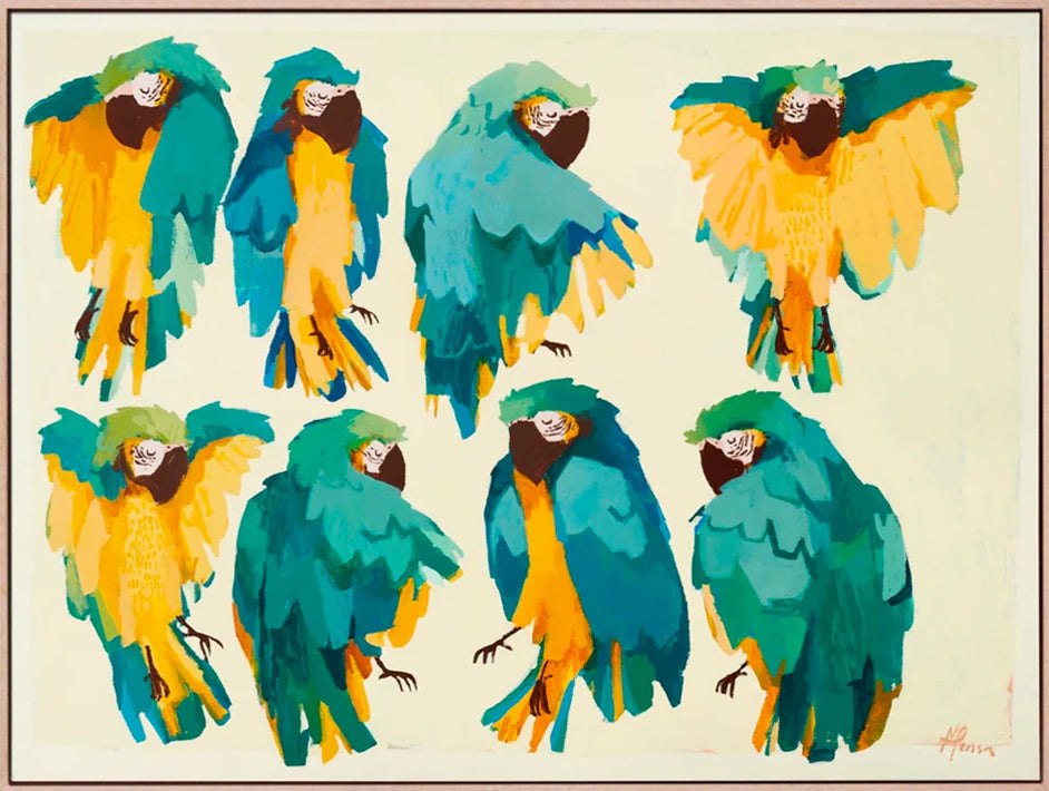 'ararauna macaws'