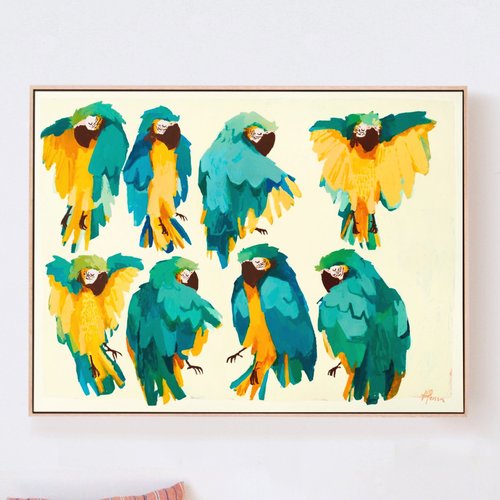 'ararauna macaws'