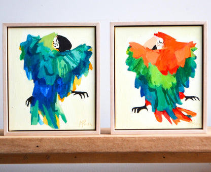 “Aracanga Macaw” II