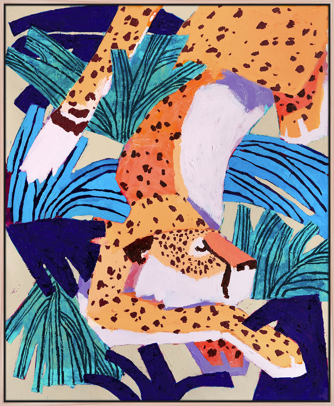 'licuala cheetah I'