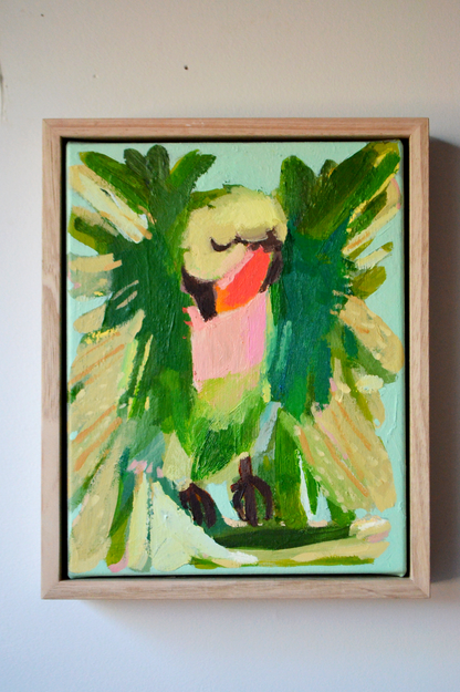 "alexandrine parakeet"